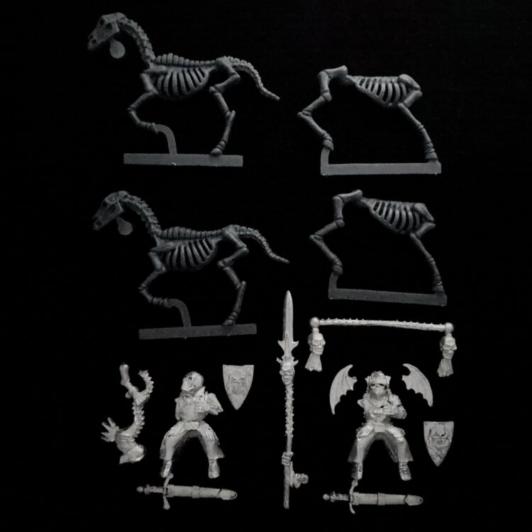 A photo of Undead Mounted Wights Command Warhammer miniatures