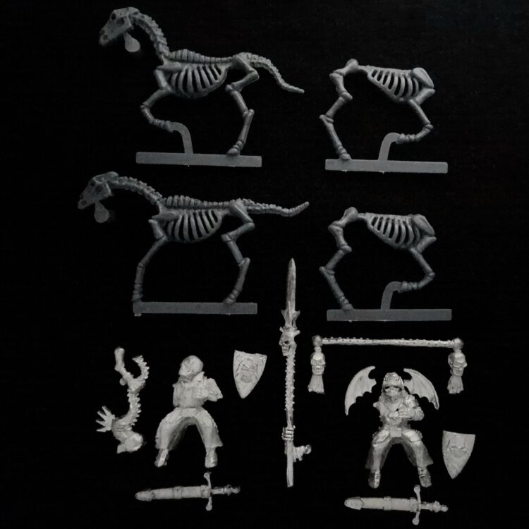 A photo of Undead Mounted Wights Command Warhammer miniatures