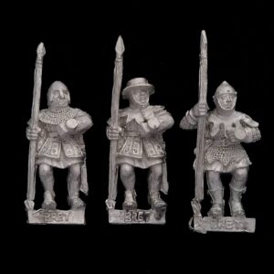 A photo of Bretonnia Men at Arms with Spears Warhammer miniatures