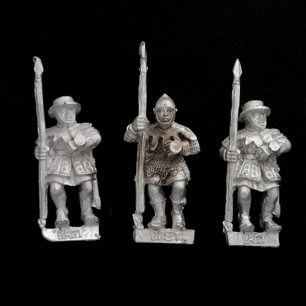 A photo of Bretonnia Men at Arms with Spears Warhammer miniatures