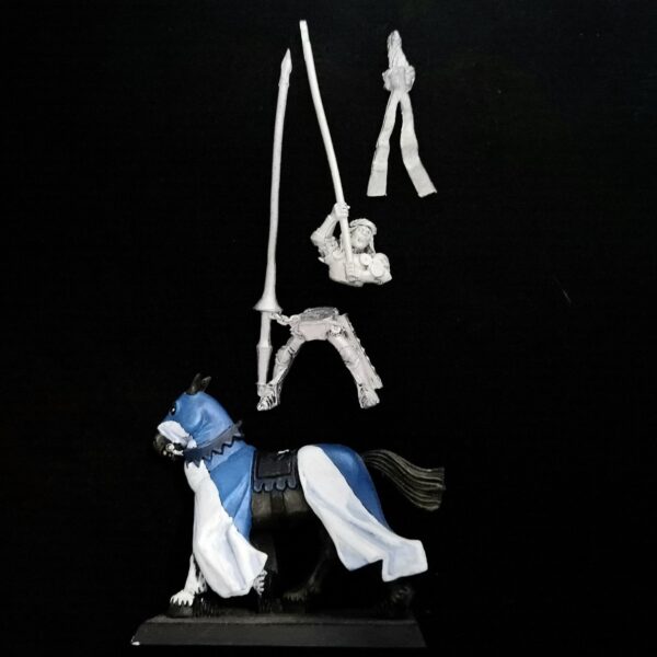 A photo of a Bretonnia Errant Knight Standard Bearer Warhammer miniature