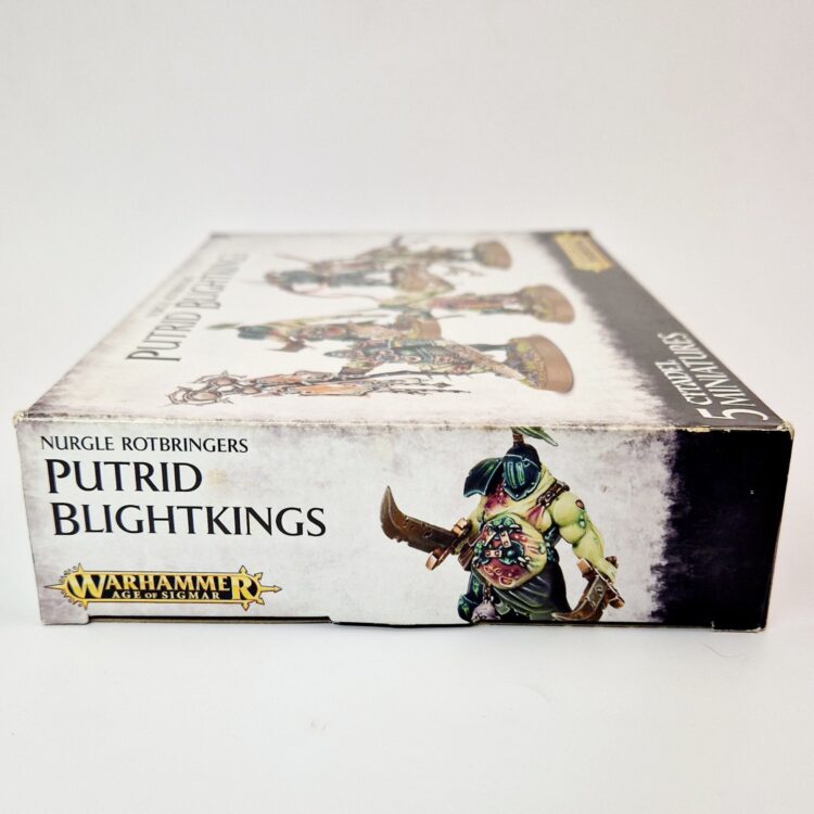 A photo of Chaos Daemons Putrid Blightkings Warhammer miniatures