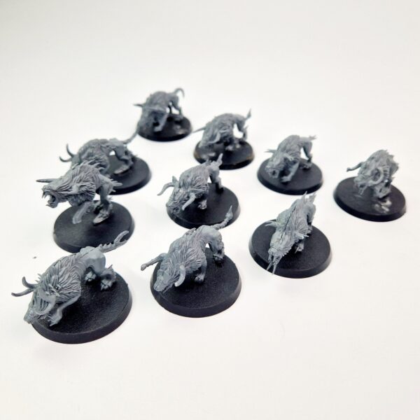 A photo of Beasts of Chaos Warhounds Warhammer miniatures