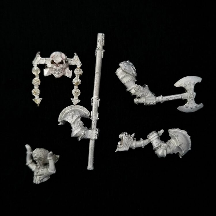 A photo of Warhammer Chaos Warriors Regiment Command Bits