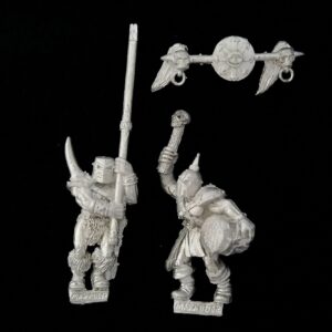 A photo of Warriors of Chaos Marauder Command Warhammer miniatures