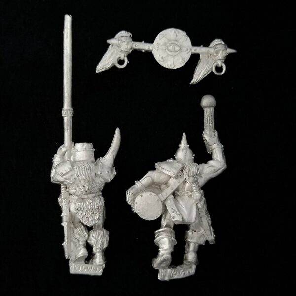 A photo of Warriors of Chaos Marauder Command Warhammer miniatures