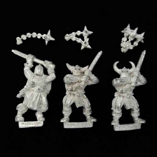 A photo of Chaos Warriors Marauders with Flails Warhammer miniatures