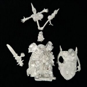 A photo of a Warriors of Chaos Lord Wulfrik the Wanderer Warhammer miniature