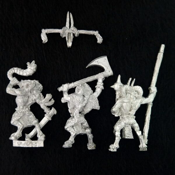 A photo of Beasts of Chaos Beastmen Command Warhammer miniatures