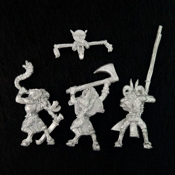 A photo of Beasts of Chaos Beastmen Command Warhammer miniatures