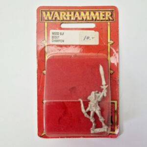 A photo of Wood Elves Scout Champion Warhammer miniatures