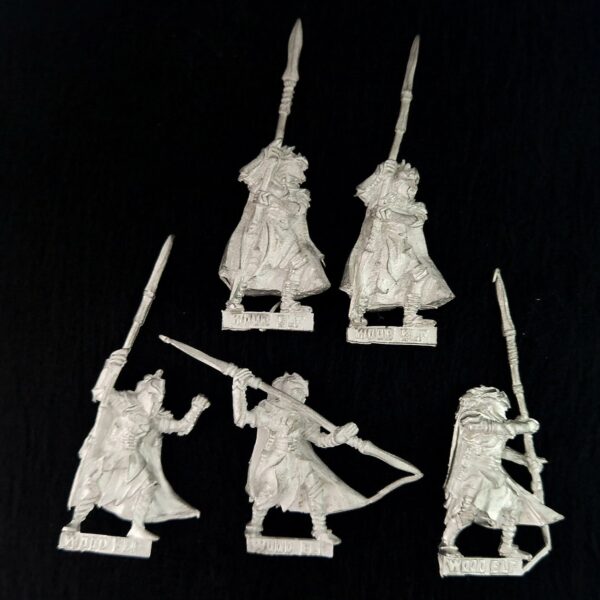 A photo of Wood Elves Eternal Guard Warhammer miniatures