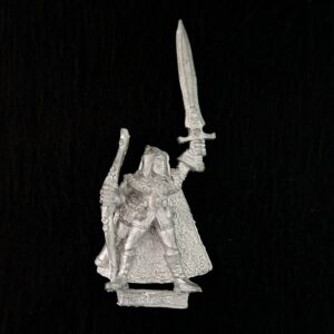 A photo of a Wood Elves Champion Warhammer miniature