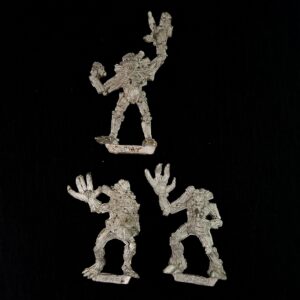 A photo of Wood Elves Dryads Warhammer miniatures