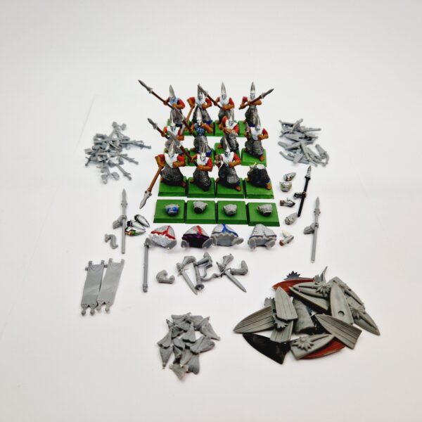 A photo of High Elves Spearmen Warhammer miniatures