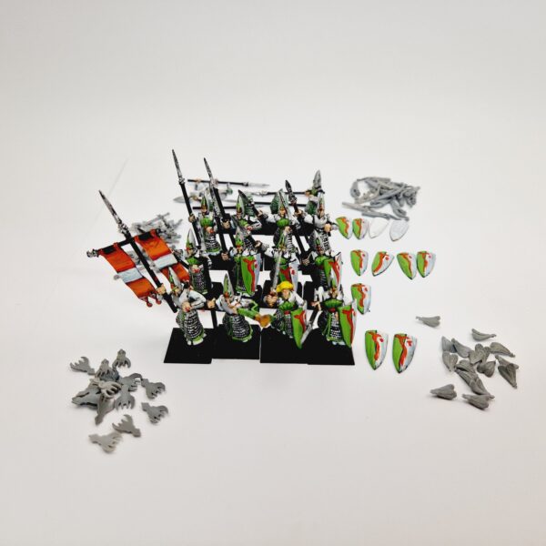 A photo of High Elves Spearmen Warhammer miniatures