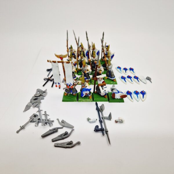 A photo of High Elves Spearmen Warhammer miniatures