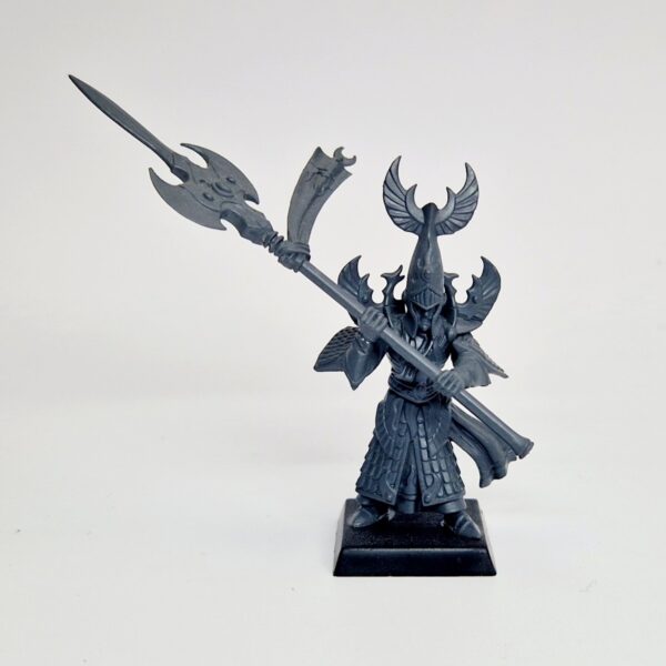 A photo of a High Elves Anointed of Asuryan Warhammer miniature