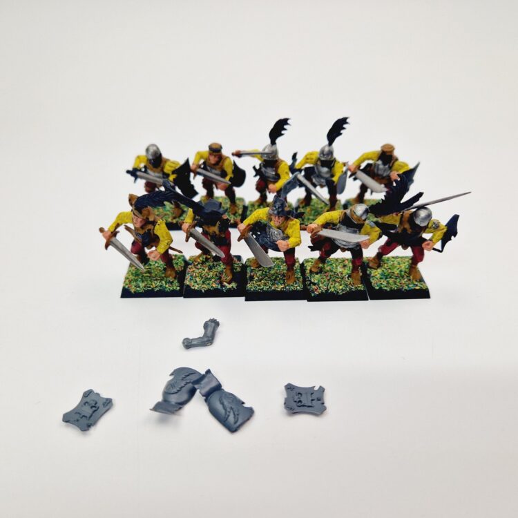 A photo of The Empire State Troops Warhammer miniatures