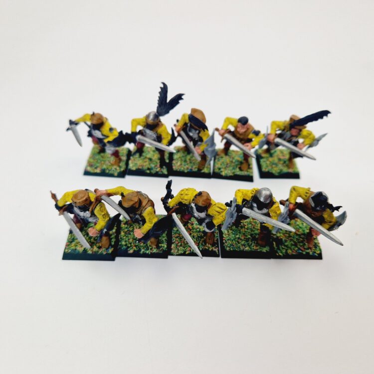 A photo of The Empire State Troops Warhammer miniatures