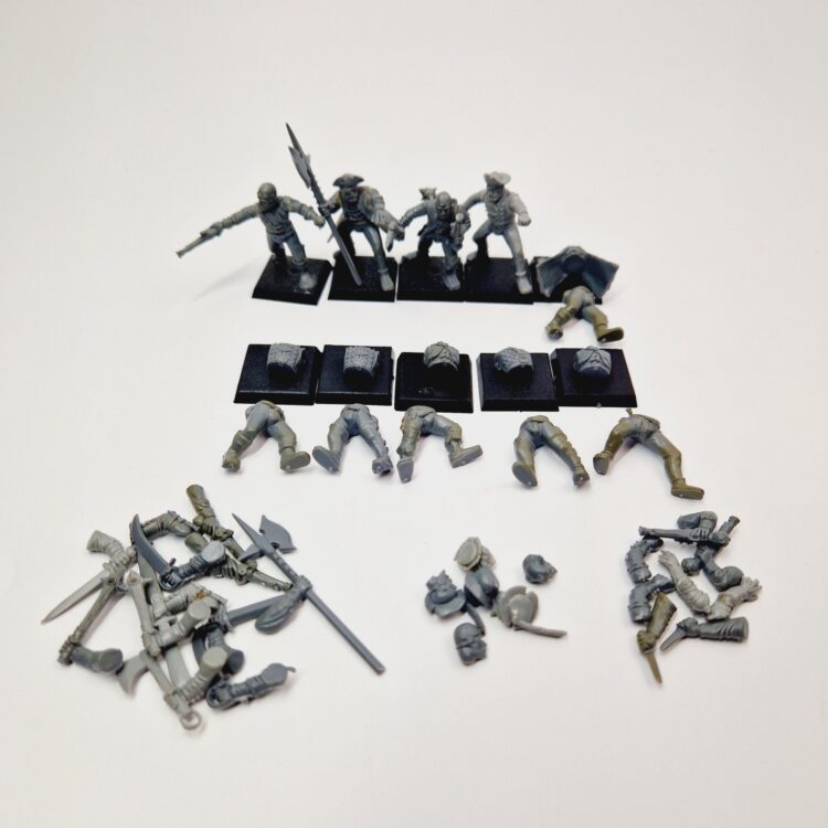 A photo of The Empire Militia Warhammer miniatures