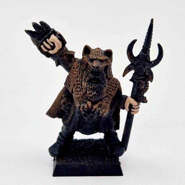 A photo of a Talisman Shaman Warhammer miniature