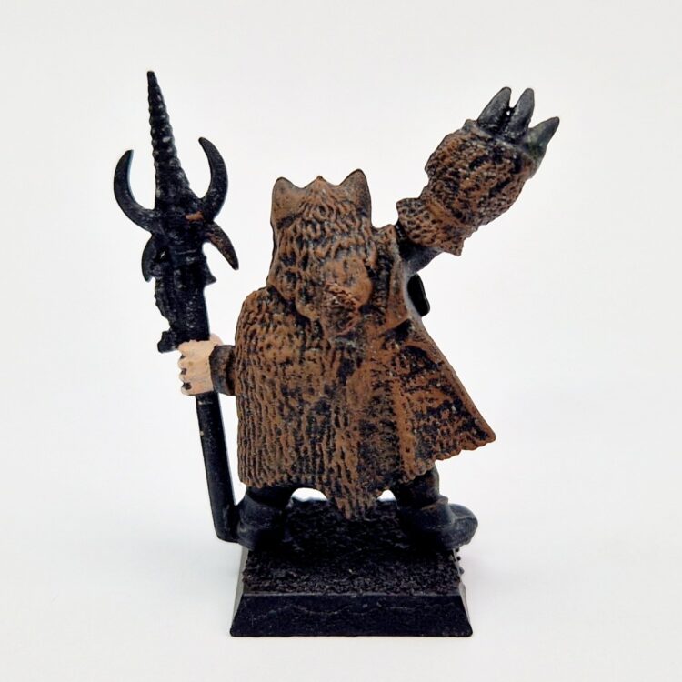 A photo of a Talisman Shaman Warhammer miniature