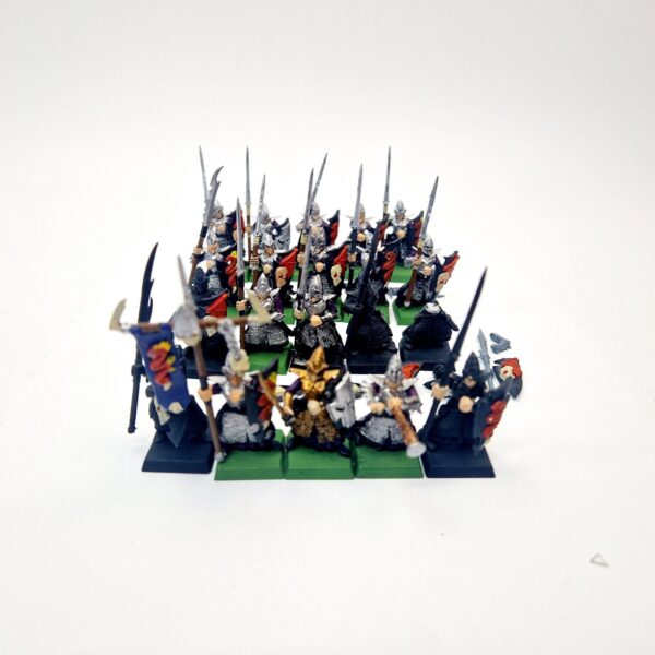 A photo of Dark Elves Warriors Regiment Warhammer miniatures