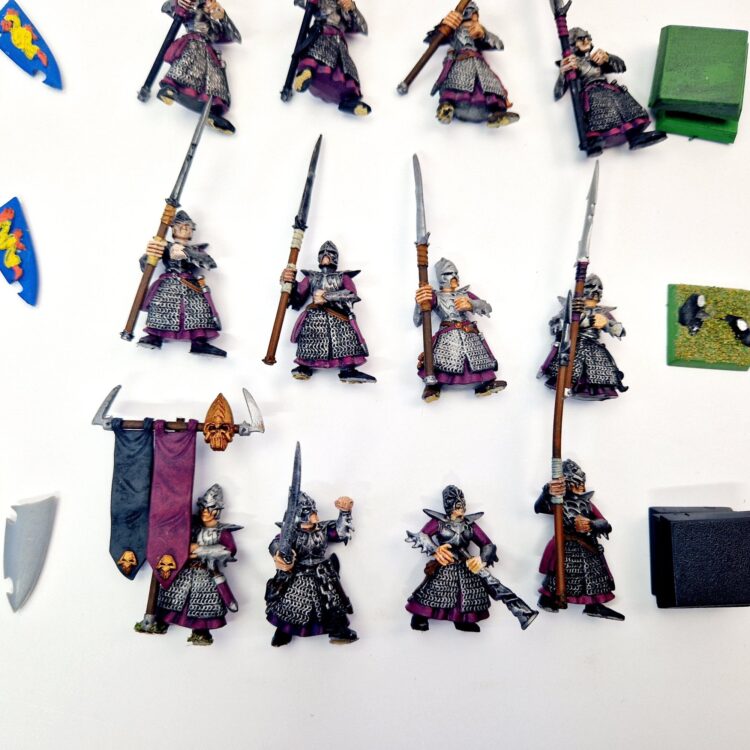 A photo of Dark Elves Warriors Regiment Warhammer miniatures