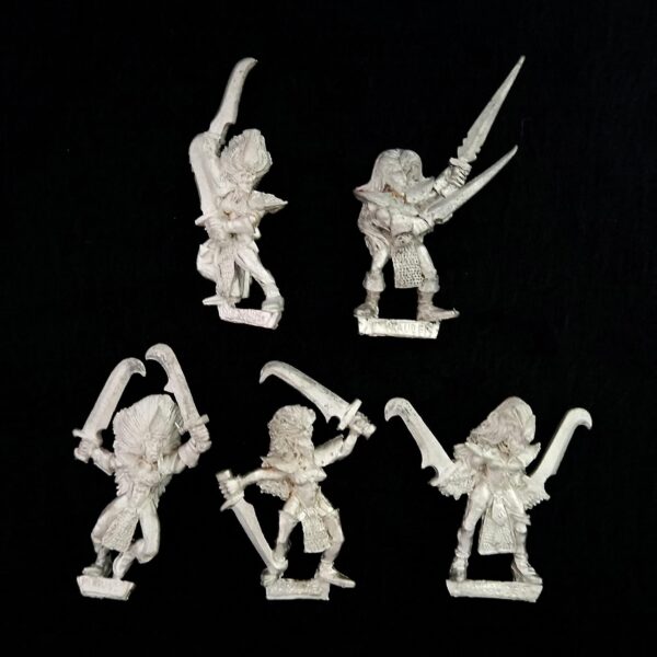 A photo of Dark Elves Witch Elves Warhammer miniatures