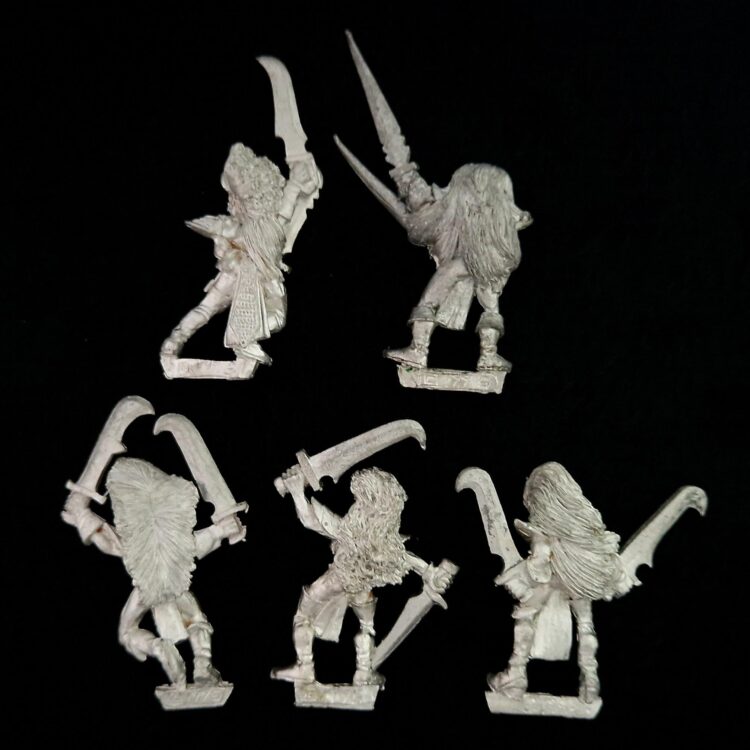 A photo of Dark Elves Witch Elves Warhammer miniatures