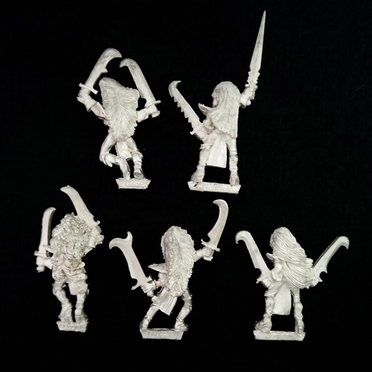 A photo of Dark Elves Witch Elves Warhammer miniatures