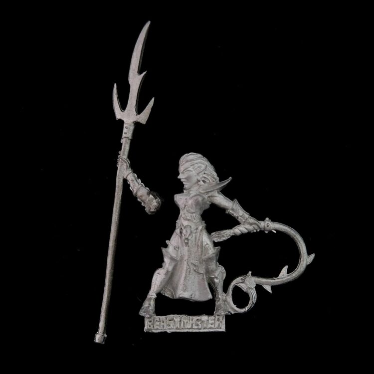 A photo of a Dark Elves Beastmaster Warhammer miniature