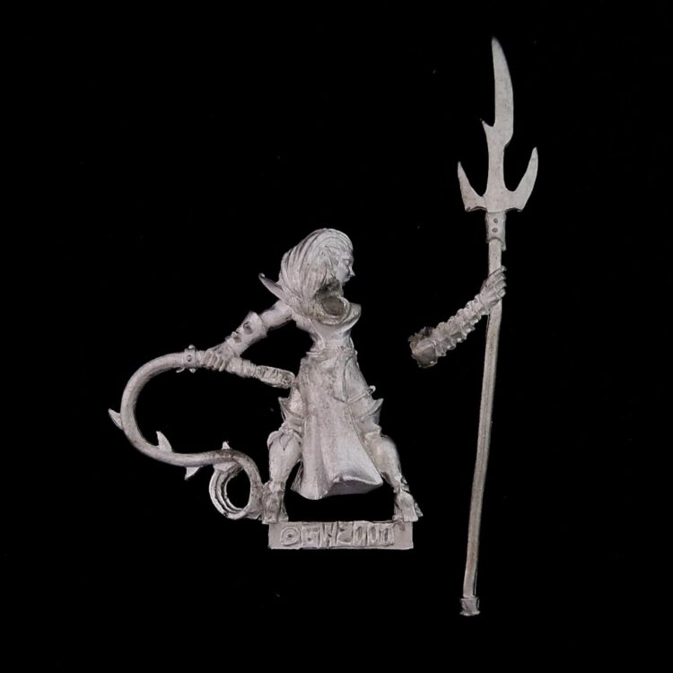 A photo of a Dark Elves Beastmaster Warhammer miniature