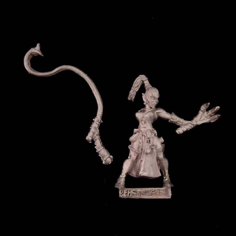 A photo of a Dark Elves Beastmaster Warhammer miniature