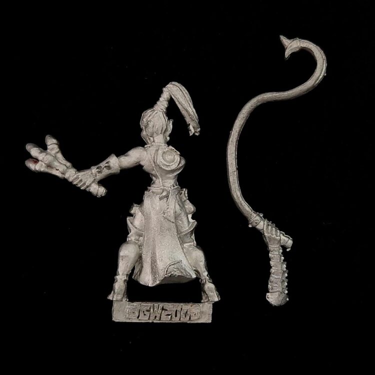 A photo of a Dark Elves Beastmaster Warhammer miniature