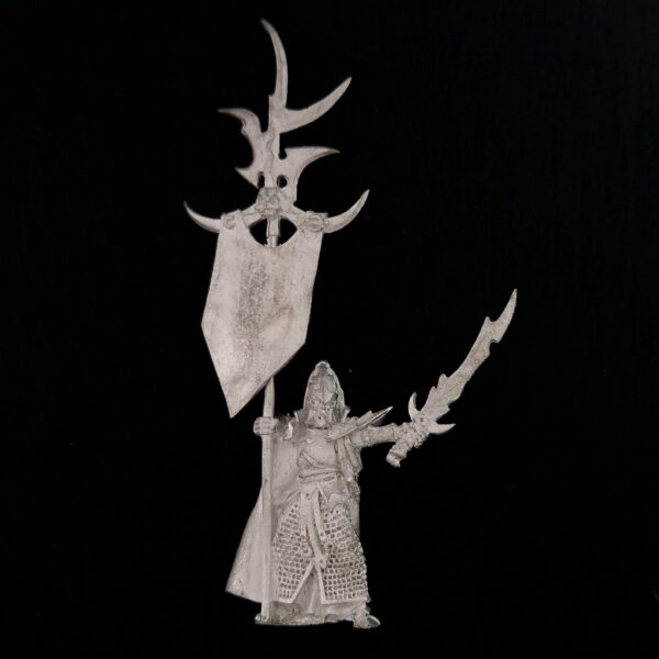 A photo of a Dark Elves Battle Standard Bearer Warhammer miniature