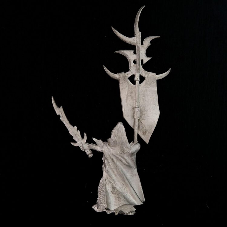 A photo of a Dark Elves Battle Standard Bearer Warhammer miniature