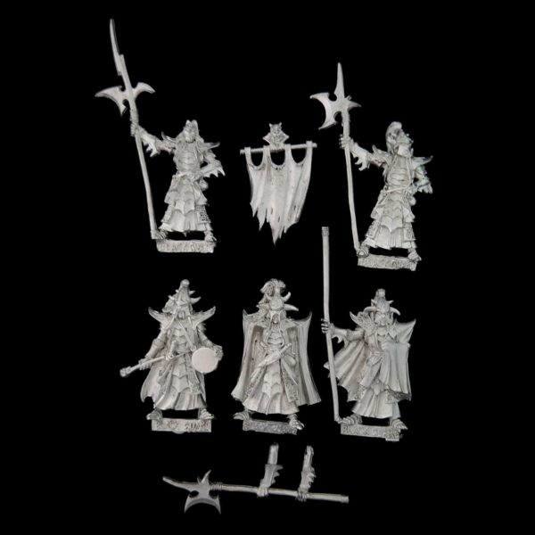 A photo of Dark Elves Black Guard Warhammer miniatures