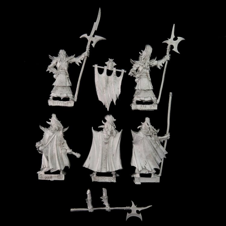 A photo of Dark Elves Black Guard Warhammer miniatures