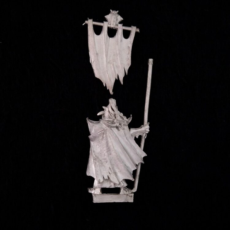 A photo of a Dark Elves Black Guard Standard Bearer Warhammer miniature