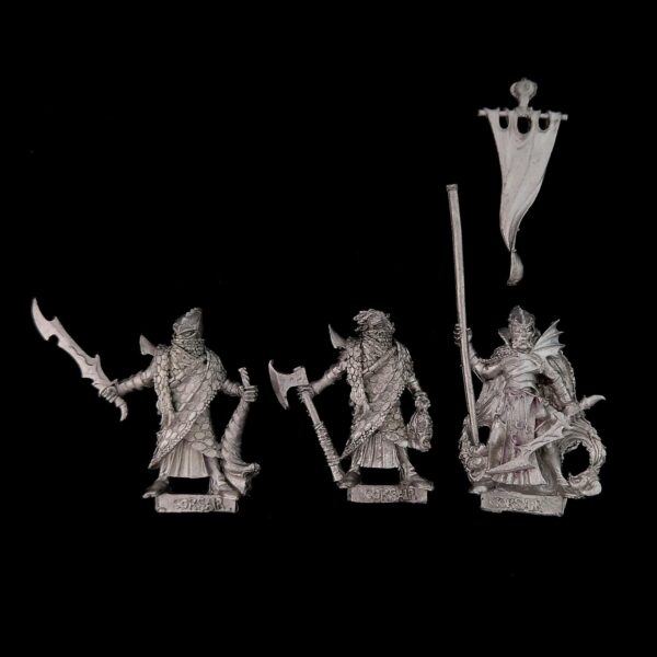 A photo of Dark Elves Corsairs Command Warhammer miniatures