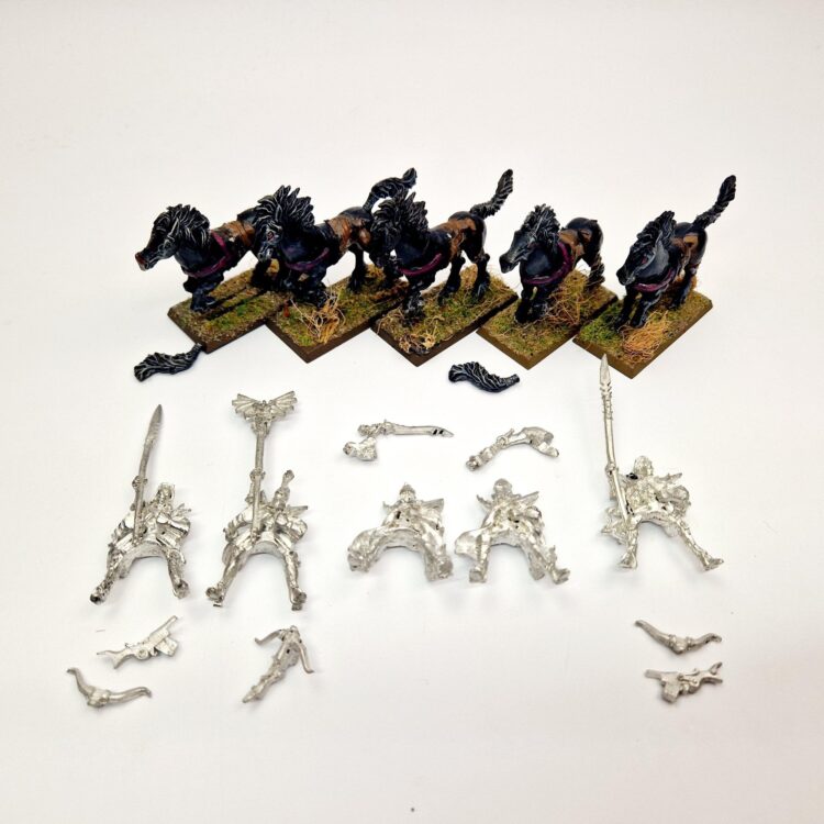 A photo of Dark Elves Dark Riders Warhammer miniatures