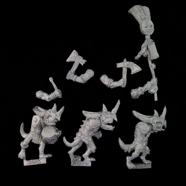 A photo Lizardmen Temple Guard Command Warhammer miniatures