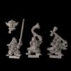 A photo of Dwarfs Hammerers Command Warhammer miniatures