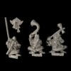 A photo of Dwarfs Hammerers Command Warhammer miniatures