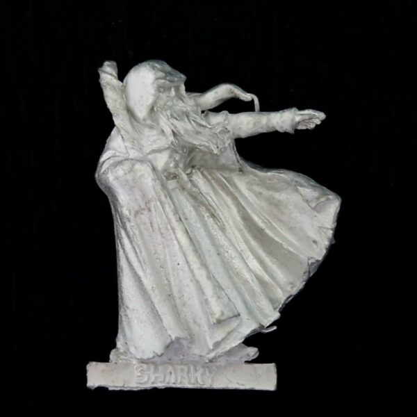 A photo of a Sharkey's Rogues Sharkey Middle Earth Warhammer miniature