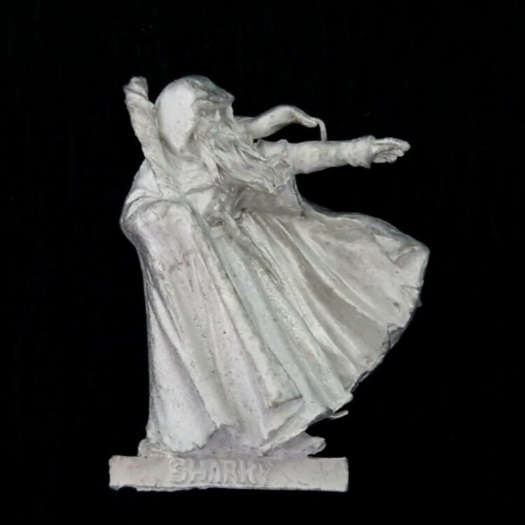 A photo of a Sharkey's Rogues Sharkey Middle Earth Warhammer miniature