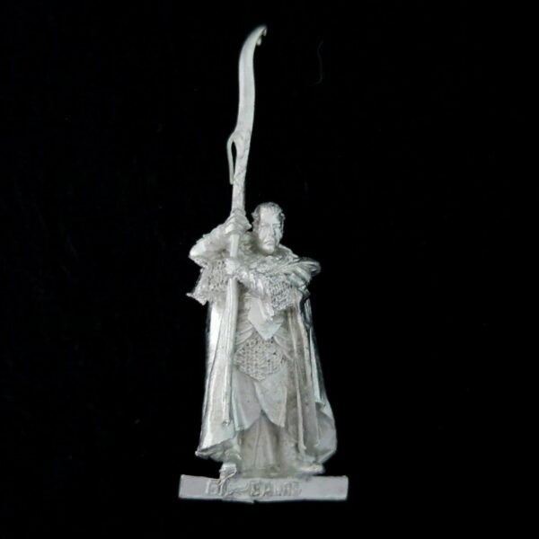 A photo of a Rivendell Gil-Galad Warhammer miniature