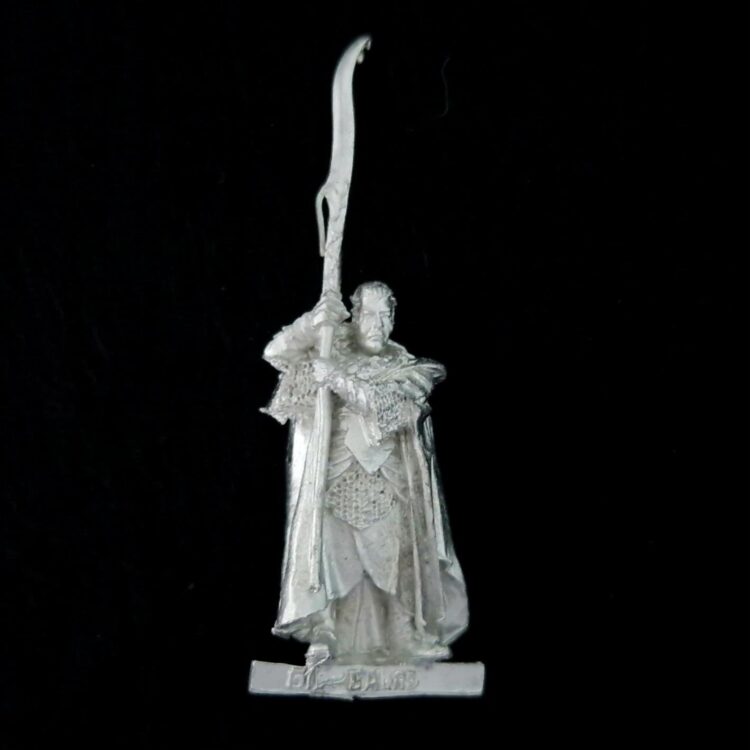 A photo of a Rivendell Gil-Galad Warhammer miniature